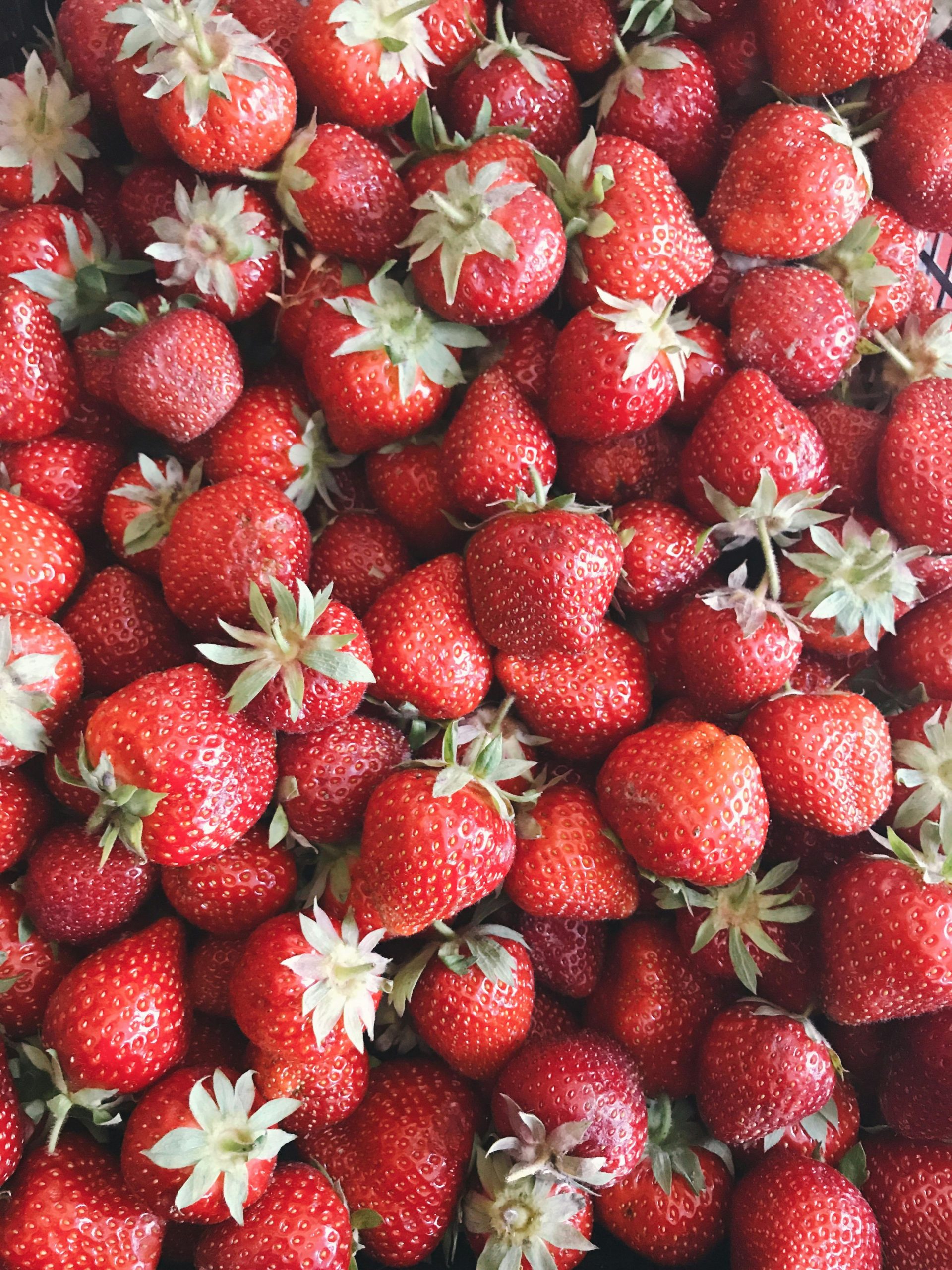 Red Strawberry Fruit Lot